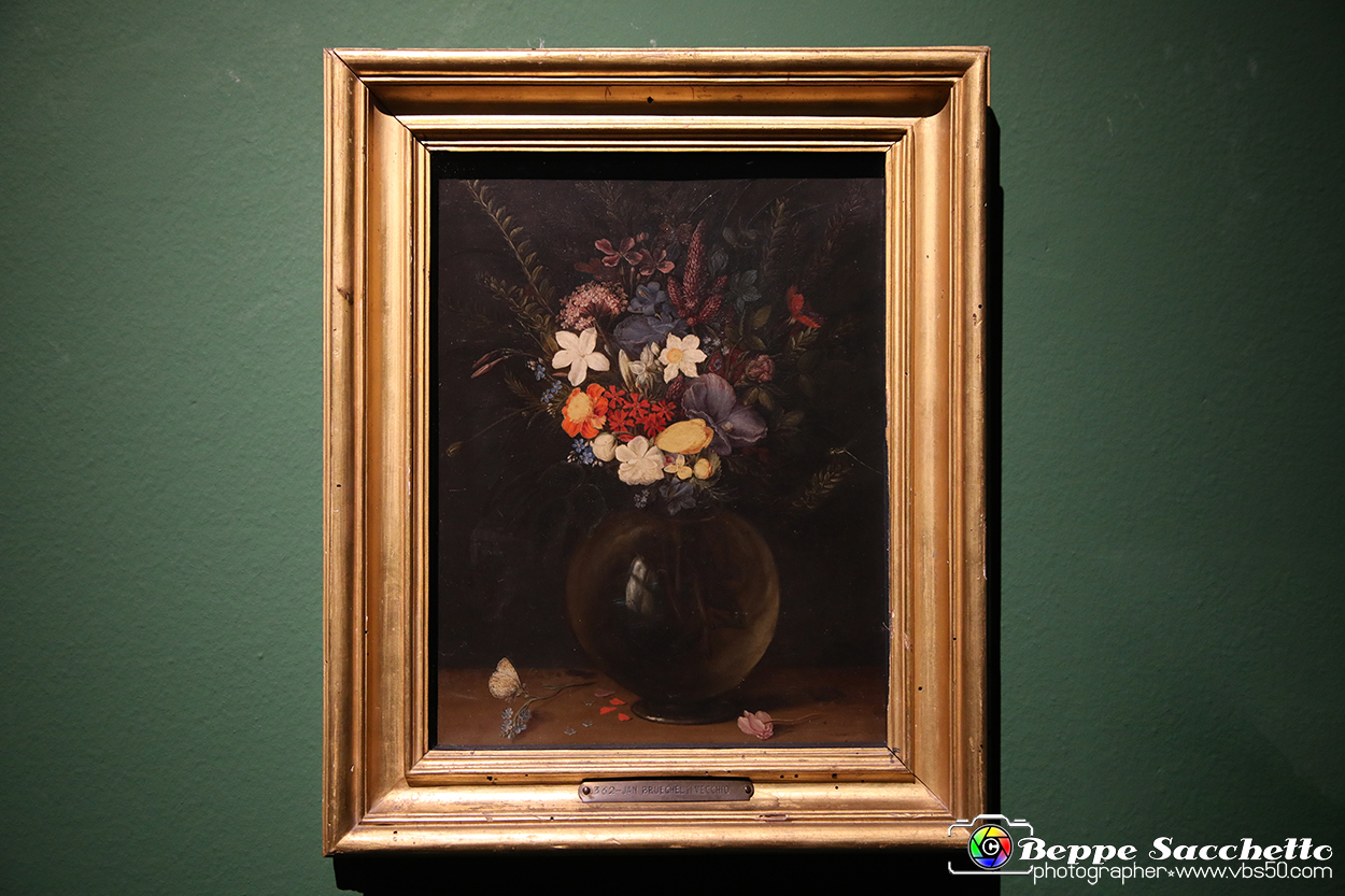 VBS_7767 - La canestra di Caravaggio.jpg